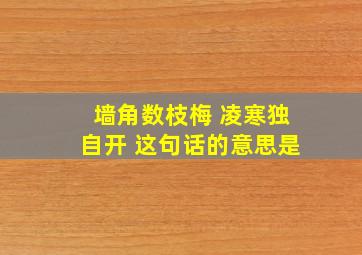 墙角数枝梅 凌寒独自开 这句话的意思是